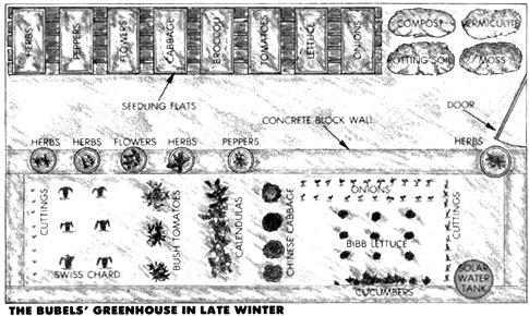 The Bubels' solar greenhouse crop layout in winter.